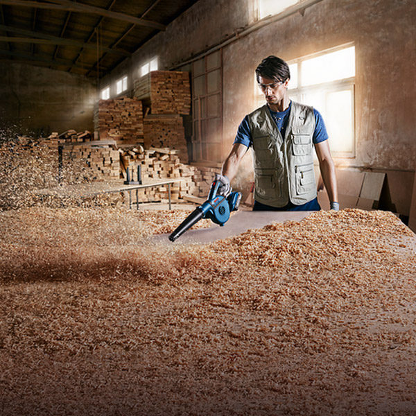 Bosch GBL 18V-120 Professional